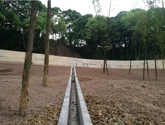 瀘州園林綠化苗木 瀘州園林綠化苗木