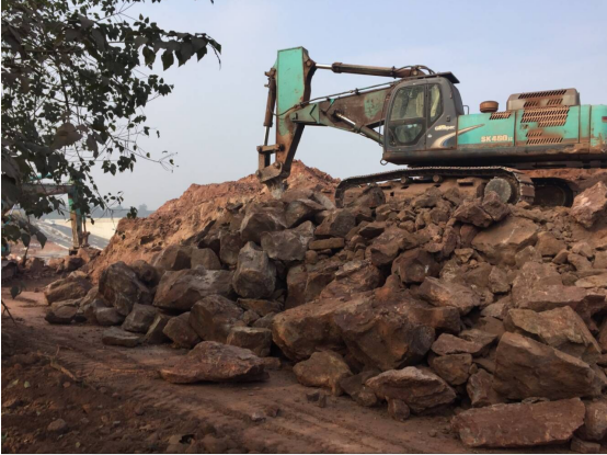 瀘州園林綠化苗木.png 瀘州園林綠化苗木.png