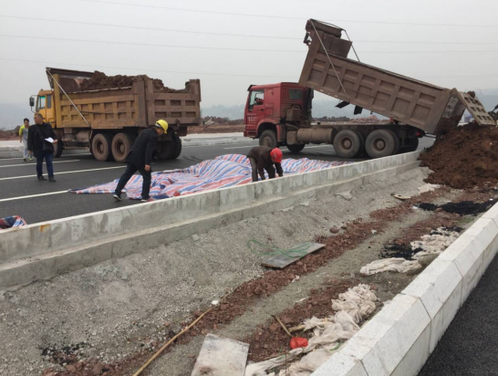 瀘州景觀改造工程.png 瀘州景觀改造工程.png