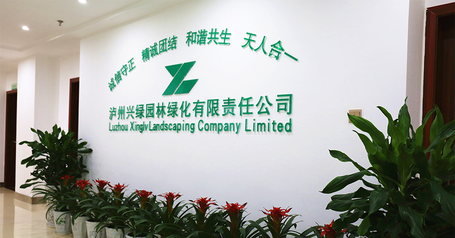公司簡(jiǎn)介.jpg 瀘州園林.jpg