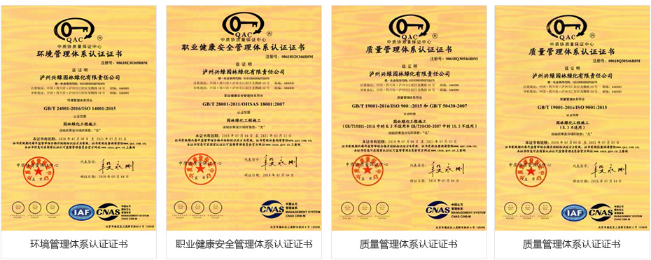 公司資質(zhì).jpg 資質(zhì)榮譽(yù)3.jpg