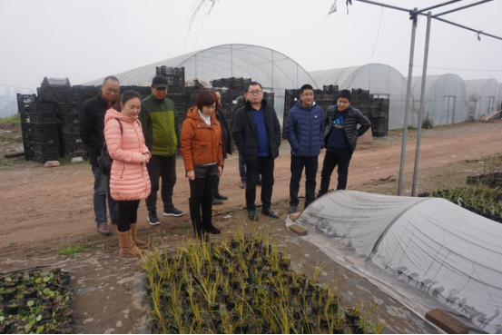 瀘州景觀規(guī)劃設(shè)計(jì).png 瀘州景觀規(guī)劃設(shè)計(jì).png