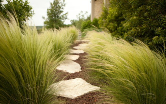 瀘州園林綠化 瀘州園林綠化