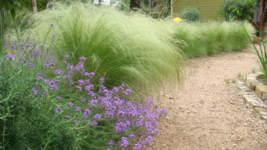 景觀園林綠化 景觀園林綠化