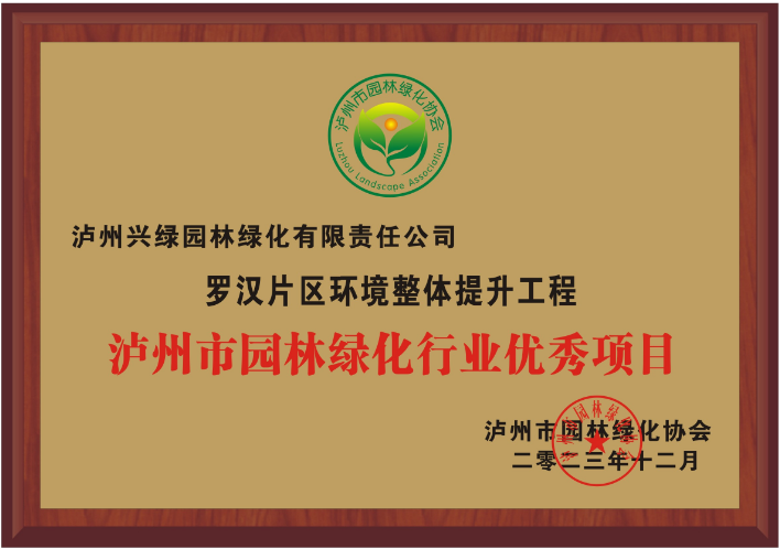 羅漢片區(qū)環(huán)境整體提升工程優(yōu)秀項(xiàng)目.png