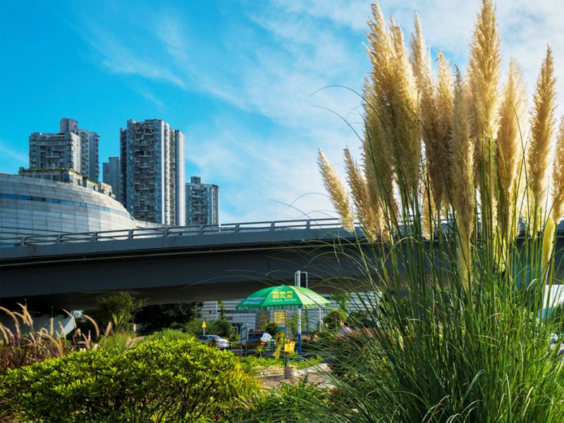 沱江二橋加寬改造工程附屬景觀建設(shè)項目